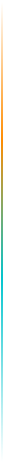 Section divider